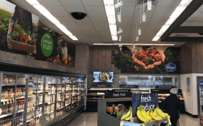 Project Spotlight